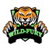 🦁 Wild Fury 🦁 (@WildFuryV1Ps) Twitter profile photo