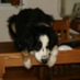 merwyn jones (@merwyn_jones) Twitter profile photo merwyn jones (@merwyn_jones) Twitter profile photo
