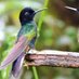 Ecuador Turismo de Colores (@ectourdecolores) Twitter profile photo Ecuador Turismo de Colores (@ectourdecolores) Twitter profile photo