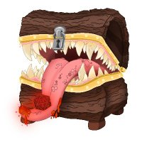 MimicsNMisfits making a system?? (@mimicsnmisfits) 's Twitter Profile