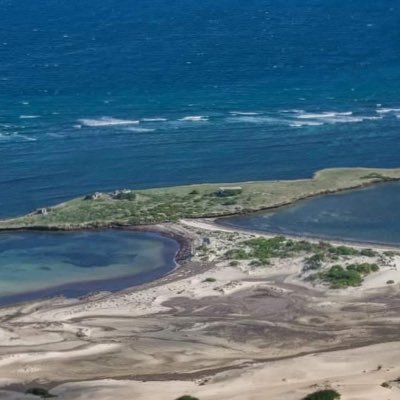 Bilebeerqariye1's profile picture. 