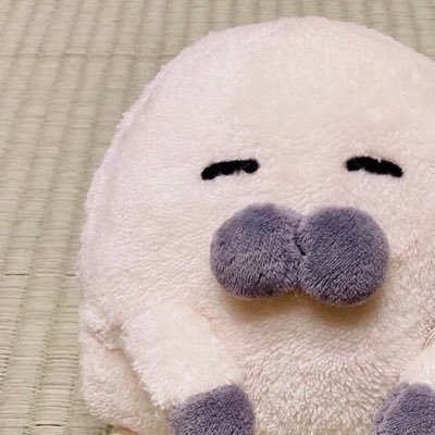こっそり人間の🏠に住み着くあざらしみたいな不思議な生物!たべることやおひるねがだいすき♥️ ぼくの助手(作者)→よし(@aya_yoshi_)