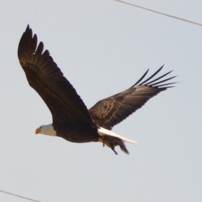 EveW36612250's profile picture. 