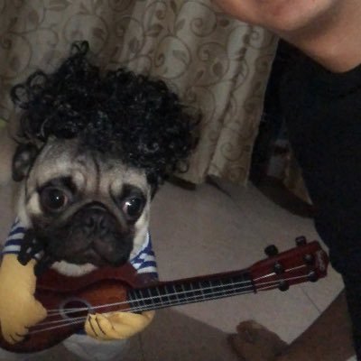 redtwins23's profile picture. Nada