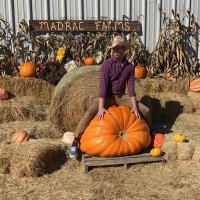 JSVeritas (@js_veritas) 's Twitter Profile