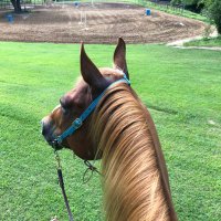 Elle🏇 (@jetbaby56) 's Twitter Profile