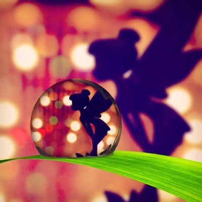 rapurs's profile picture. 一生懸命生きて 楽しむ事も忘れない♪