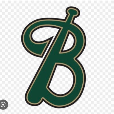 Birdville Hawks Baseball