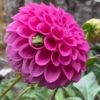 Beth Clarkson (@beth_eaca) 's Twitter Profile