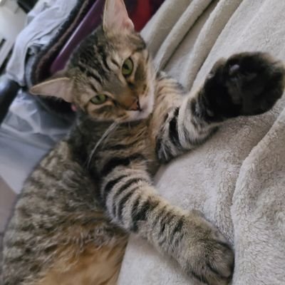 KellyBThomas4's profile picture. 