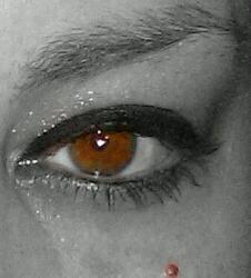 ib73bos's profile picture. 3 Beantown for Life !