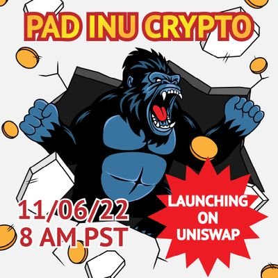 Pad Inu Crypto Offical