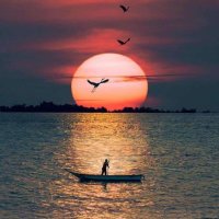 Bobituss (@bobituss) 's Twitter Profile