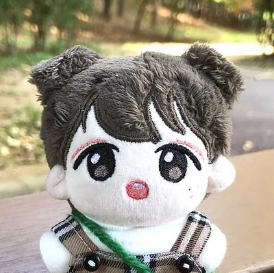 NCT 해찬 9CM 강아지 인형 햇꽁이 #햇꽁이랑_같이걸어볼까요