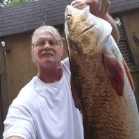 JOHN Martin (@johnmar35590342) 's Twitter Profile Photo