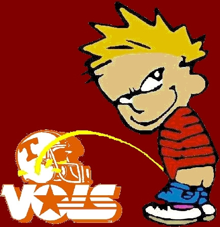 volssuck Profile Picture