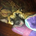 John Fotch - @jrfotch - Twitter