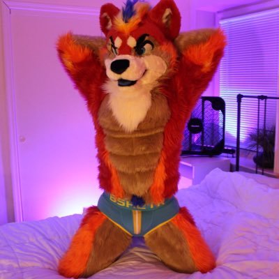Murrsuits are pretty neat! After dark account of @DarbyWuff and Picante the Husky. Usually submissive, and 100% fursuit-sexual. 18+ only!