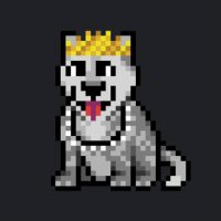 NFT Enthusiast Knightrider (@sctrackboy) 's Twitter Profile