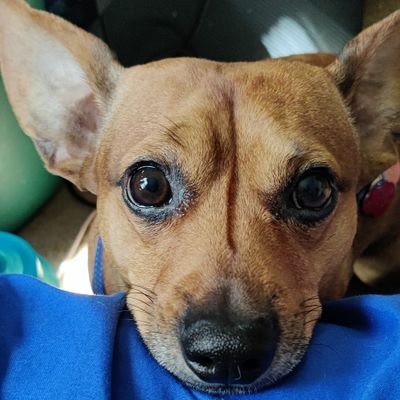 LukieBoyXD's profile picture. Gamer and NASCAR fan