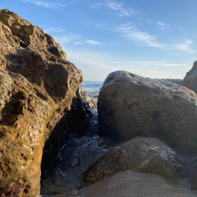 mgrigo80's profile picture. 