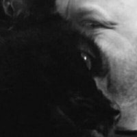 Alastair (@meesteral) 's Twitter Profile Photo