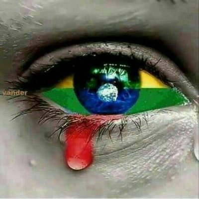 Bolsonarista, bolsominiom, gado, robô e qualquer outro apelido que indique que torço pelo meu presidente, e pra que ele melhore muito o nosso Brasil
