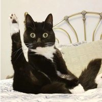 Francine muller (@weeez43) 's Twitter Profile