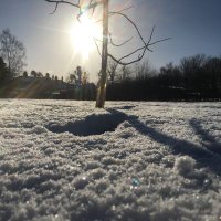 Lily (kamui kobayashi era) (@lils_cat) 's Twitter Profile