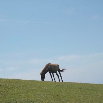 Miwaymst's profile picture. 日々