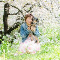 みるきぃ (@milky_quill) 's Twitter Profile Photo みるきぃ (@milky_quill) 's Twitter Profile Photo
