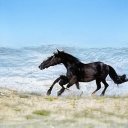 Sue Johnson - @SueJohn08035422 - Twitter