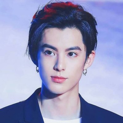 Dylan Wang Meteor Garden