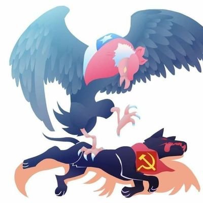 #FueraComunistas Mientras Chile exista jamás será marxista! Falta mano dura en 🇨🇱 Amante de los animales la música y el poker #Patriota 22% 44% 62% 💪