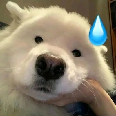 BanWinstonSmith's profile picture. 