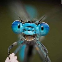 BD (@bdarlingbfun) 's Twitter Profile