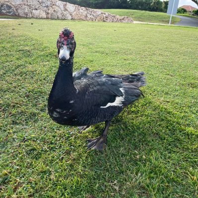 TcGNQfS3kJ3WK4U's profile picture. 20ちょいの福岡すみです よろしく！笑