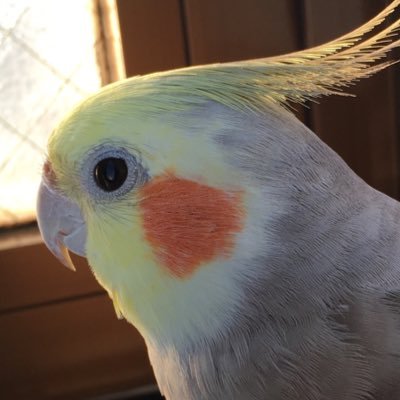 iiyamazaki's profile picture. 紙とWebと　#CF 34期（2022.11〜)