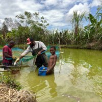 Josh Noiney (@josh_noiney) 's Twitter Profile Photo