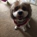 Donna James (@donnaja21788163) Twitter profile photo Donna James (@donnaja21788163) Twitter profile photo