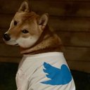 jason spring - @springyogi - Twitter