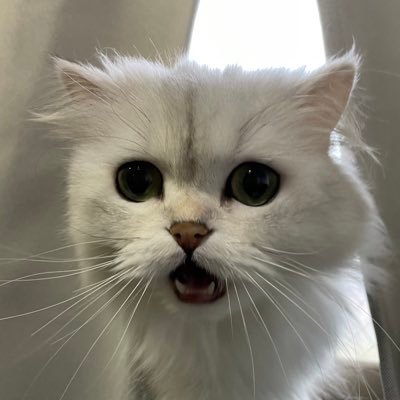 mikkameee's profile picture. https://t.co/l9DkDp6HIr