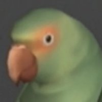 Emma Emmerich's parrot (@juandchazarret1) 's Twitter Profile