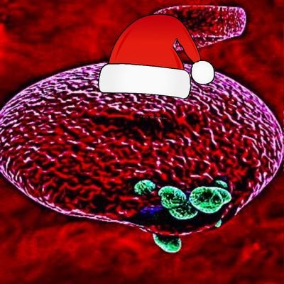 MD PhD JD MBA MPH MFA candidate | Your next pandemic biofarm | Kanye’s death con 3 target (in that order)