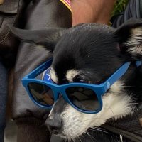 Joseph Bien-Kahn (@jbienkahn) 's Twitter Profile Photo Joseph Bien-Kahn (@jbienkahn) 's Twitter Profile Photo