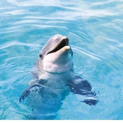 yontemgrup's profile picture. 