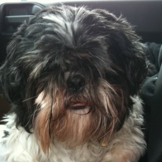 caziggyn's profile picture. Dancing is like dreaming with your feet...