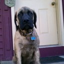 Ted Gargano - @tntgargano - Twitter