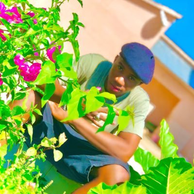 HayatollahF's profile picture. 