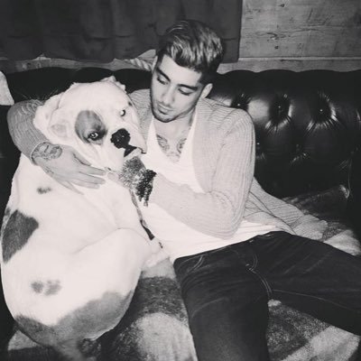 yaniraxrgz's profile picture. Miguel Santiago 🤎💍